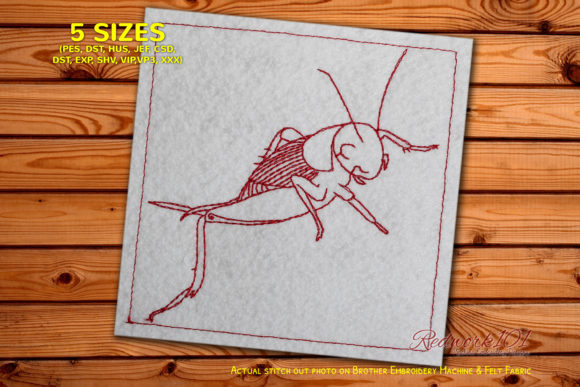 Cricket Embroidery Design Review